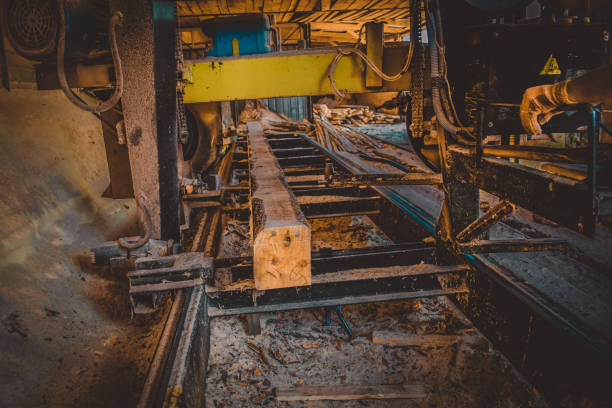 istock Sawmill. Process of machining logs in sawmill machine saws the t 1073538148