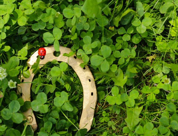 symbol of St. Patrick's Day, shamrocks, gold