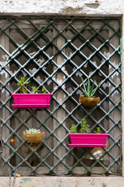 istock Window decorated with flower pots 1073549466