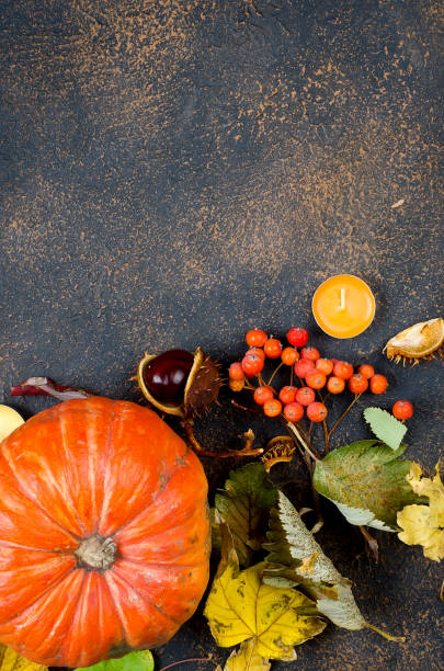 istock autumn leaves, chestnuts, candles on a dark background 1073554130