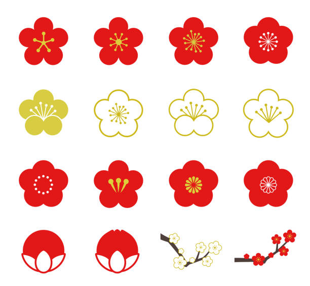 3,600+ Chinese Plum Japanese Apricot Bloom White Flower Beautiful