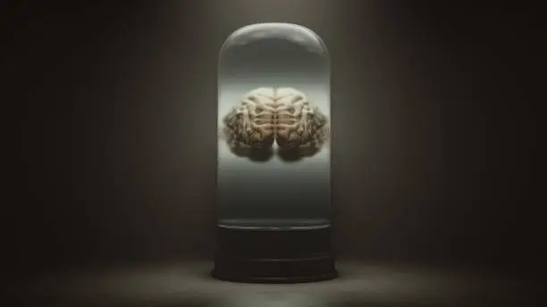 Human Brain Floating in a Liquid in a Bell Jar with a Dark Foggy Background 3d illustration 3d render