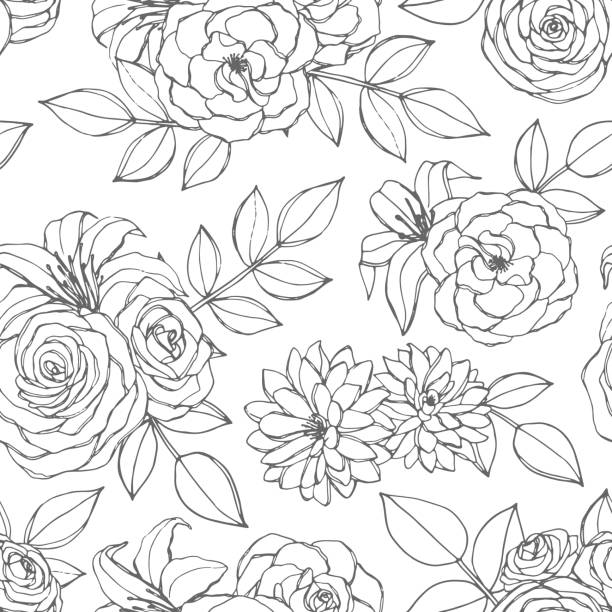Vector seamless pattern with rose, lily, peony and chrysanthemum flowers line art on the white background. Hand drawn floral repeat ornament of blossoms in sketch style. Usable for coloring books. Vector seamless pattern with rose, lily, peony and chrysanthemum flowers line art on the white background. Hand drawn floral repeat ornament of blossoms in sketch style. Usable for coloring books. camellia stock illustrations