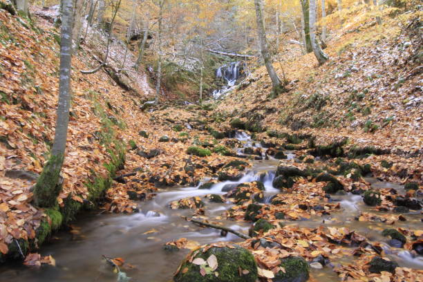 istock Yedigoller National Park. 1073589314