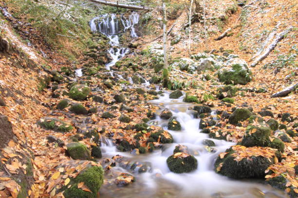 istock Yedigoller National Park. 1073589404