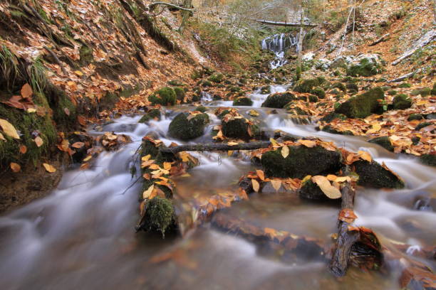 istock Yedigoller National Park. 1073589648