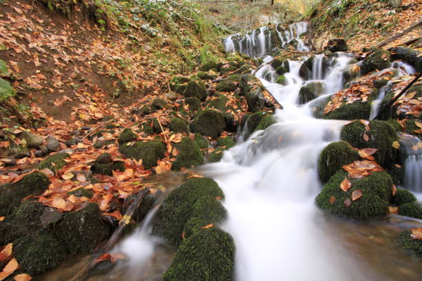 istock Yedigoller National Park. 1073591896