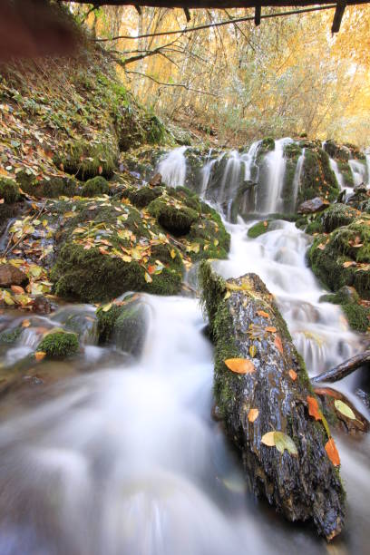 istock Yedigoller National Park. 1073592046