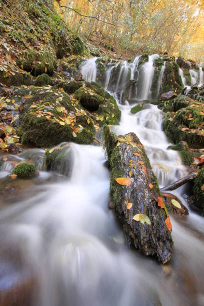 istock Yedigoller National Park. 1073592146