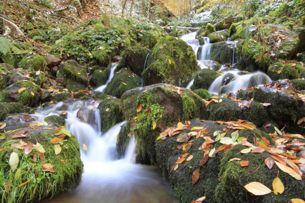 istock Yedigoller National Park. 1073592482
