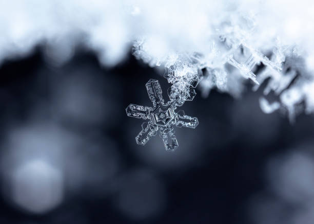 istock natural snowflakes on snow, winter 1073594344