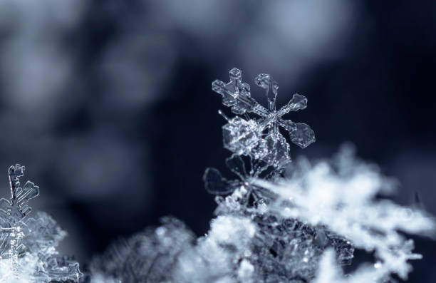 istock natural snowflakes on snow, winter 1073594346