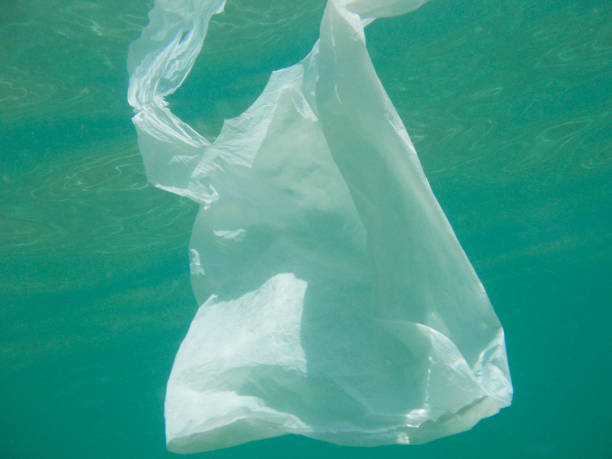 istock Plastic bag floating into the sea. Polluted environmental. Recycle 1073601402