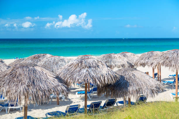 istock Straw umbrellas on the beach in Varadero, Cuba 1073611770