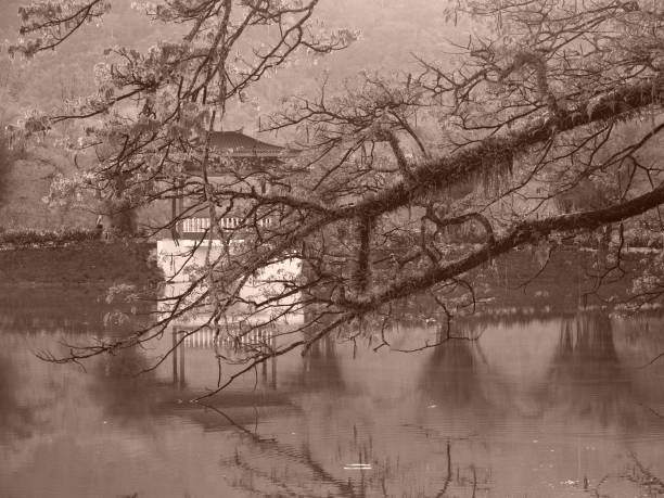 istock Natural lake view 1073619162
