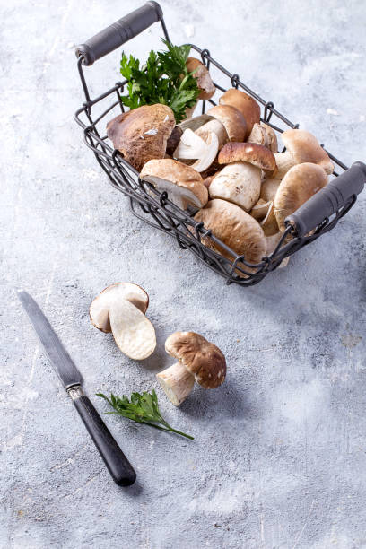 istock Chanterelle Mushrooms on a Stone Board 1073628216