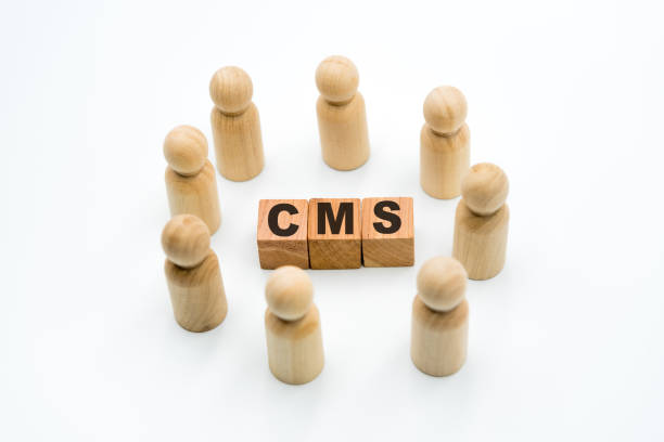 istock Wooden figures as business team in circle around acronym CMS Content Management System 1073640158