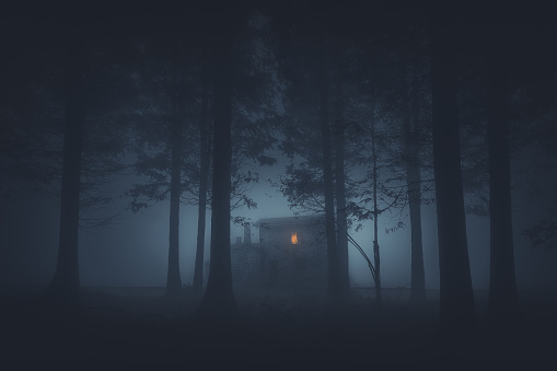 casa miedo en terror misterioso bosque photo
