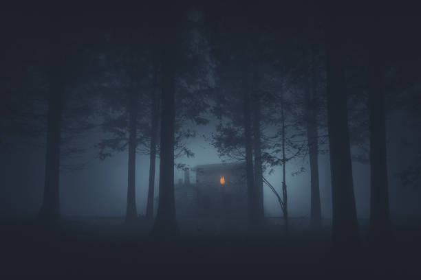 istock scary house in mysterious horror forest 1073648696