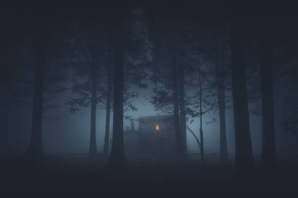 scary house in mysterious horror forest stock photo