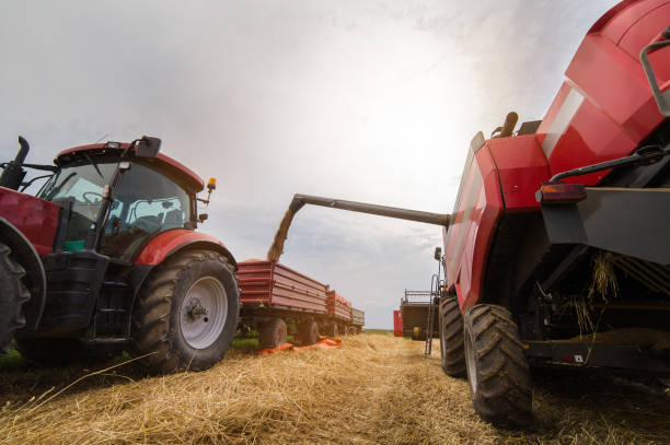 istock Pouring wheat grain into tractor trailer after harvest at field 1073651756