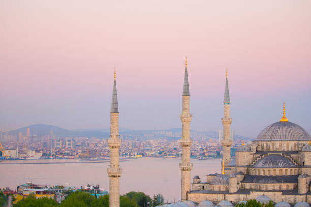 istock Istanbul city and mosques 1073652358