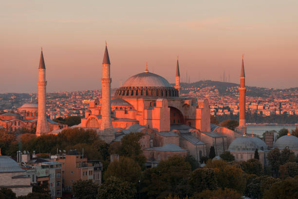 istock Istanbul city and mosques 1073652756