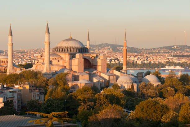 istock Istanbul city and mosques 1073653504