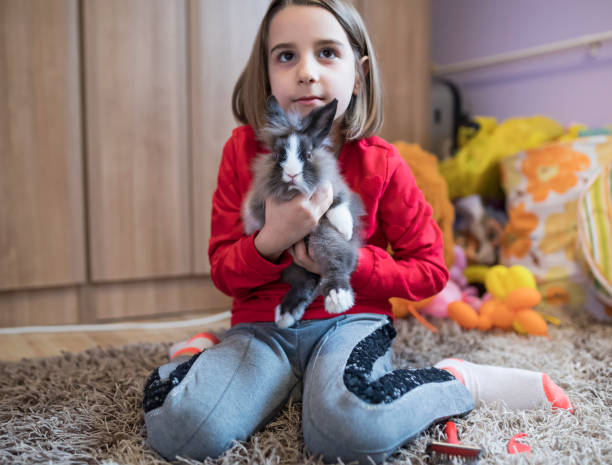 istock Cute little girl with rabbit 1073653786