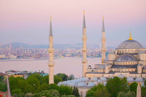 istock Istanbul city and mosques 1073655350