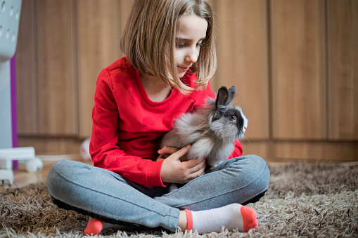 Cute little girl with her pet at home