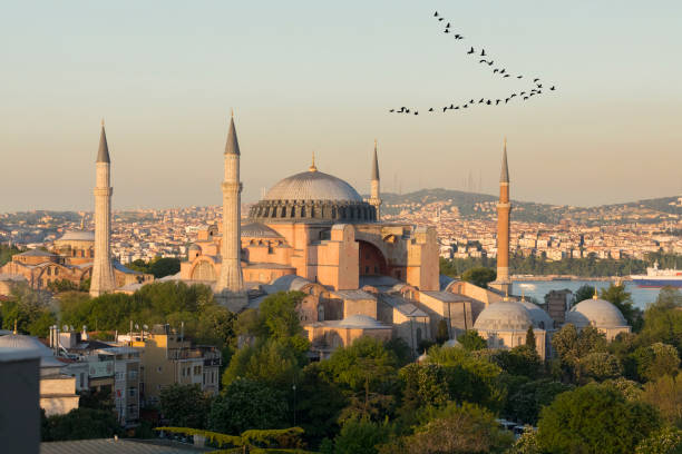 istock Istanbul city and mosques 1073655396