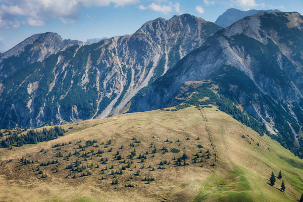 tannheimer tal: blick vom berg iseler, deutsche alpen - european alps mountain tannheimer silhouette stock-fotos und bilder