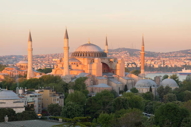 istock Istanbul city and mosques 1073659580