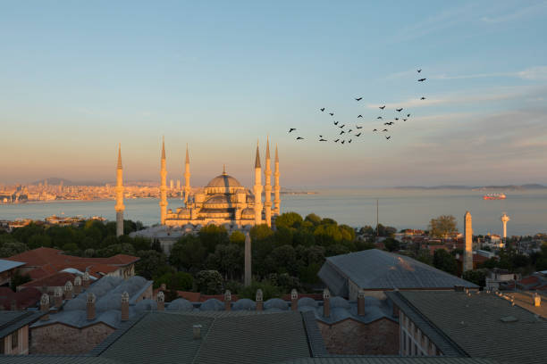 istock Istanbul city and mosques 1073662664