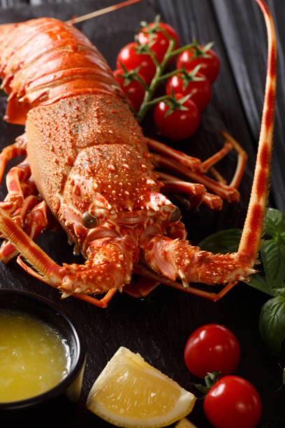 istock Boiled spiny lobster with tomato, lemon and melted butter macro on a black board . vertical 1073666806