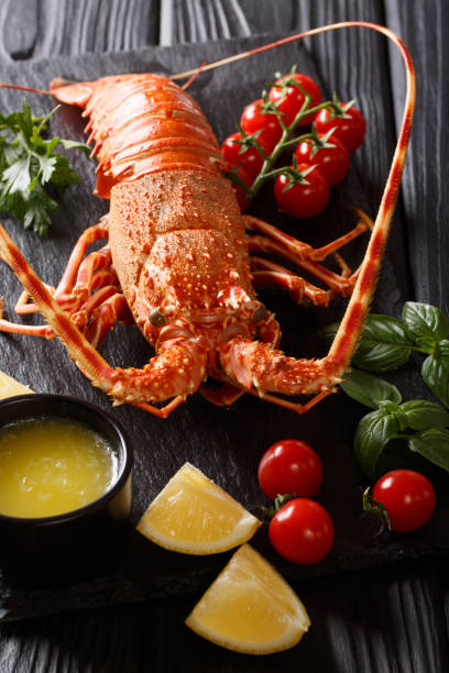 Expensive food: spiny boiled lobster with fresh tomato, lemon and melted butter close-up on stone. vertical