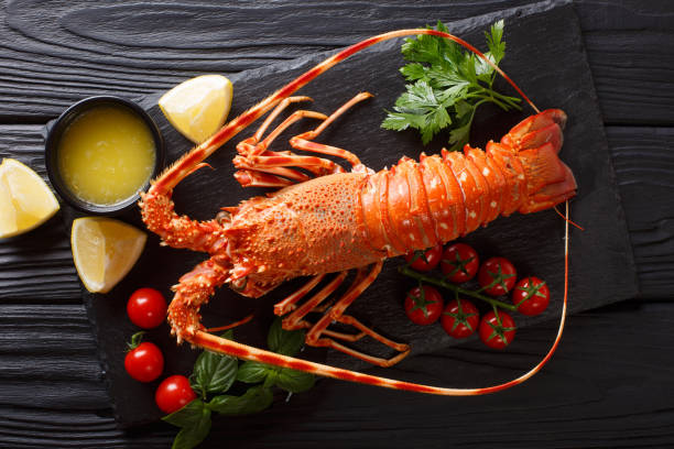 istock Luxurious boiled lobster surrounded by fresh tomatoes, lemon, herbs and melted butter close-up. horizontal top view 1073667084