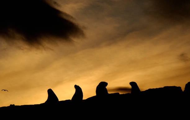 istock ushuaia, land of fire 1073667638