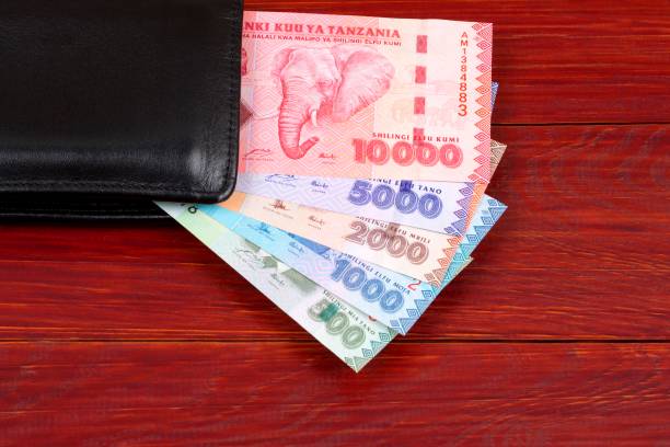 istock Tanzanian money in the black wallet 1073671320
