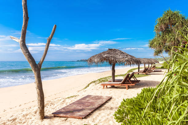 istock Tropical beach with beds and umbrellas 1073673044