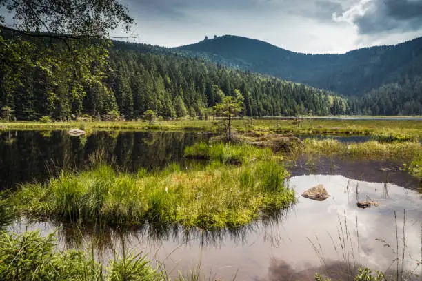 Lake "Kleiner Arbersee" with view of mountain "Grosser Arber" under cloudy sky. Near Lohberg, Cham, Oberpfalz, Bayern, Germany, Europe.