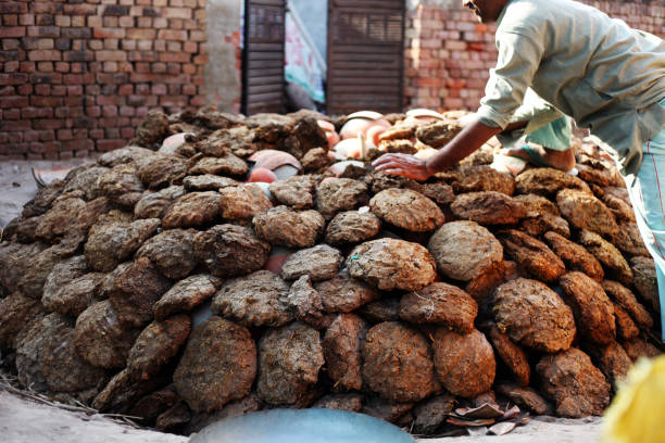 istock Mud pot baking in furnace 1073686446