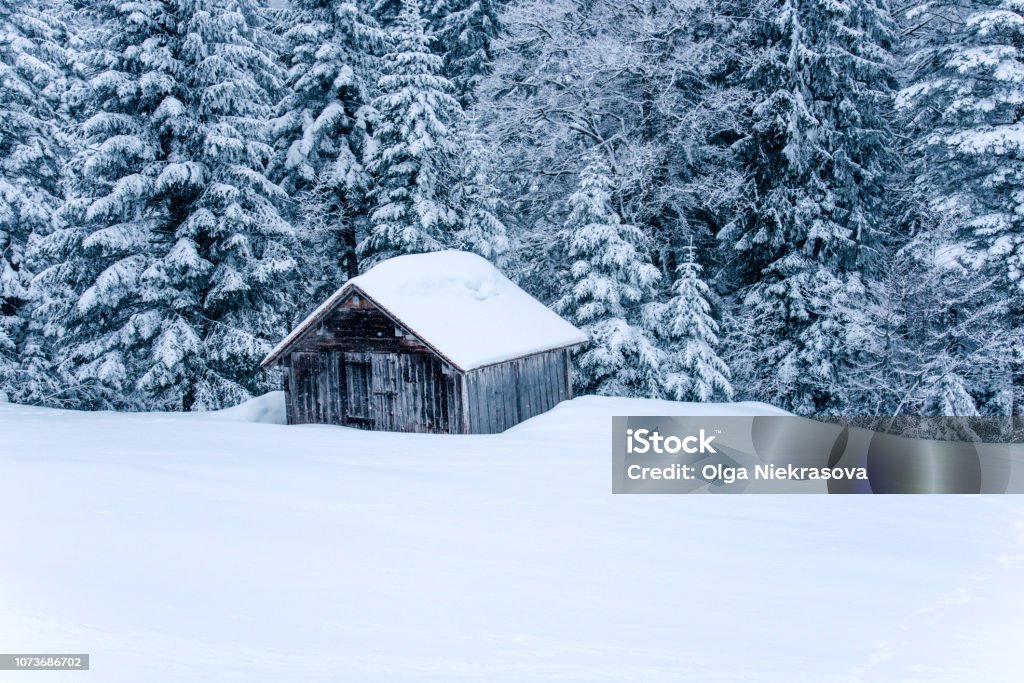 Phong Cảnh Mùa Đông Tuyệt Đẹp Trên Núi Thời Tiết Lạnh Tuyết Trên Đồi Hình  ảnh Sẵn có - Tải xuống Hình ảnh Ngay bây giờ - iStock