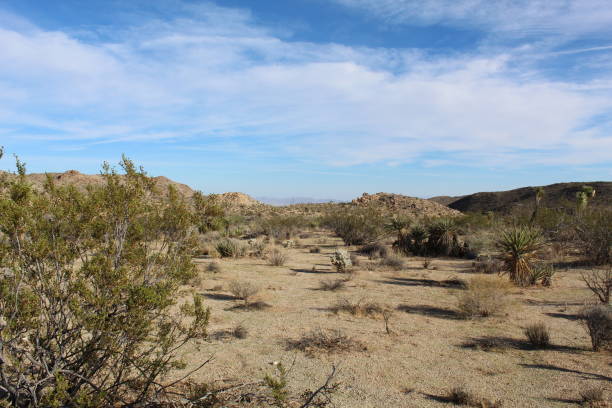 istock SPLIT ROCK SKY - JOSHUA TREE NATIONAL PARK - SPRT - 102918 1073696690