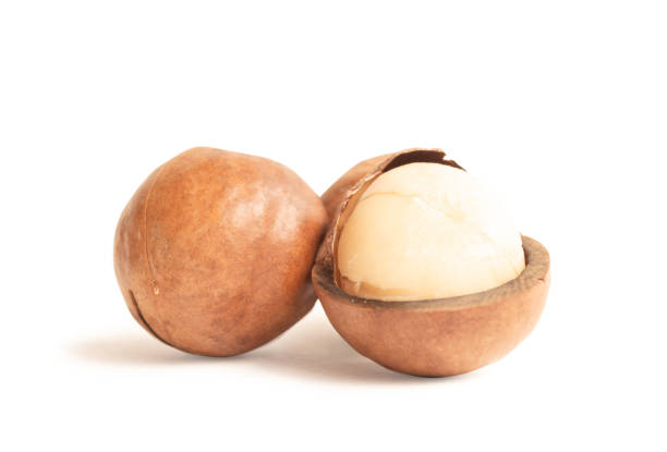 istock Close up macadamia nuts isolated on white background. 1073711784
