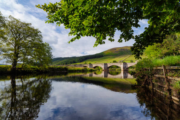 Burnsall Bridge In The Yorkshire Dales Looking down the River Wharfe towards Burnsall Bridge yorkshire england photos stock pictures, royalty-free photos & images
