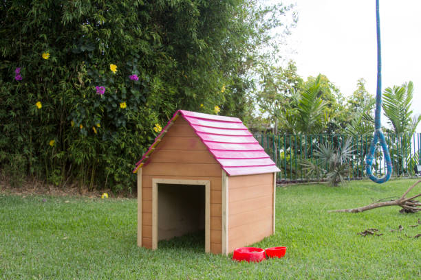 Two dogs sitting in dog houses in modern living room with open space, lot of light and plants. Mixed breed and Yorkshire terrier race