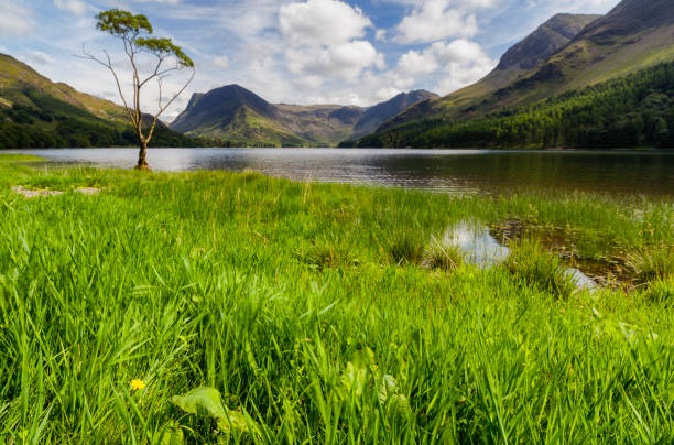 istock Buttermere In the English Lake District 1073719260