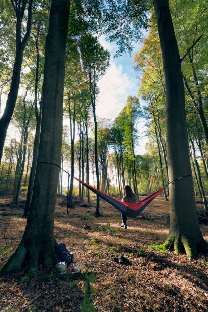 istock Hammock in the woods 1073746550